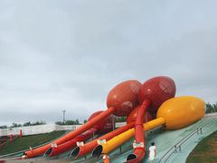 -荷兰花海