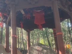-浮来山风景区