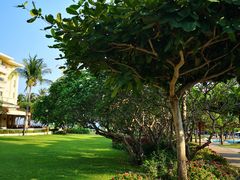 -三亚亚龙湾天域度假酒店