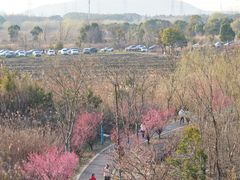 -广富林郊野公园