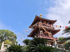 -庐山风景名胜区-东林大佛
