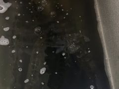 -金三可市井水煮鱼(金碧园店)