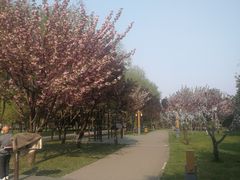 -唐城墙遗址公园