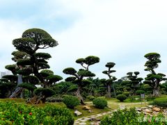 -南宁南湖公园