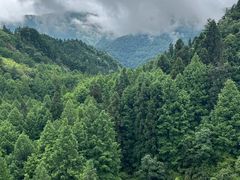-山王坪喀斯特国家生态公园