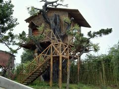 android_upload_pic-灵山莲花公园-温泉度假区