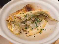 红胡椒海钓小黄鱼-蘇锦宴·淮扬菜烤鸭·小院(三元桥霄云路店)