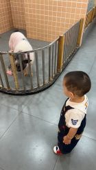 -Moni星球萌宠·小马宝莉·灵蛇·高端高阶全萌宠互动体验俱乐部(红豆国际广场店)