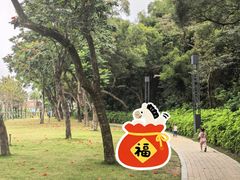-野狸岛