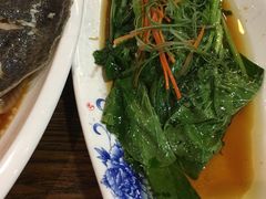 -渡海小渔村.老辈日照菜