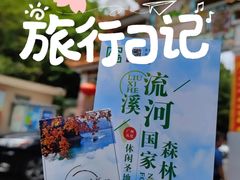 -广州市流溪河国家森林公园