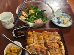 -樱の花亭日本料理店