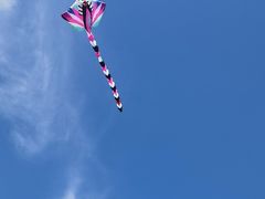 -径山花海