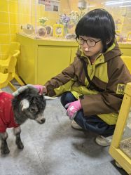 -神奇动物撸宠馆·羊驼·小浣熊·异宠(豫园店)