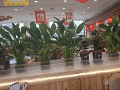 -大清花饺子(山庄店)