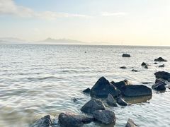 -深圳湾公园(南山区)
