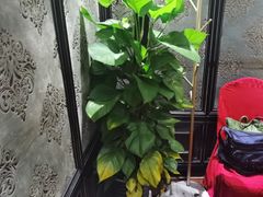 -上海1号私藏菜(静安店)