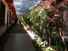 -森谷美食公园(杨行店)