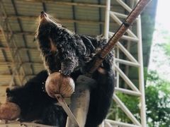 -清迈夜间动物园