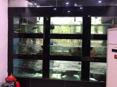 -全乐鱼馆·淳牌有机鱼直营店