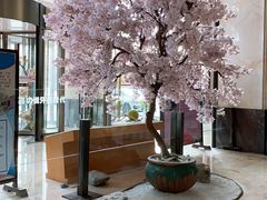 -嘉悦汗蒸时代(曙光路店)