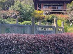 -十八棵（老龙井）御茶园(老龙井店)