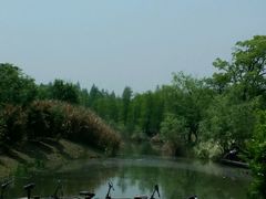 -梁鸿国家湿地公园