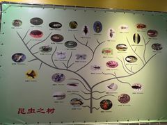-上海昆虫博物馆
