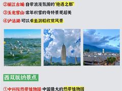 -崇圣寺三塔文化旅游区