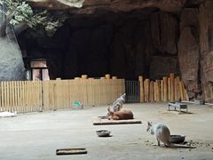 -鄂尔多斯野生动物园