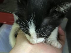 -芭比堂动物医院广州顽皮分院