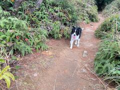 -大罗山风景区
