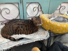 -小时光咖啡馆(北锣鼓巷店)
