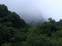 -青峰峡国家森林公园