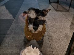 -星巴克(上海长宁来福士1F店)