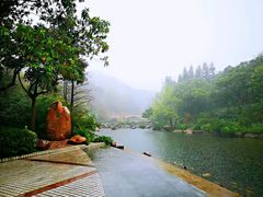 -云溪植物园
