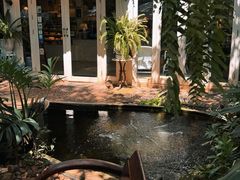 -Fern Forest Cafe
