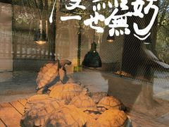-宁波野生动物园