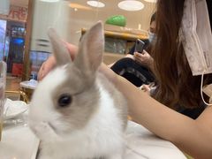 -猪盟咖啡店(玖洲道店)