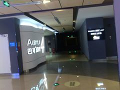 -金逸影城(荟聚IMAX激光店)