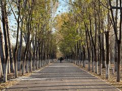 -东郊湿地公园