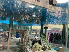 -栾川竹海野生动物园