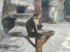 -南昌动物园