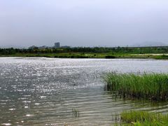 -绿堤公园