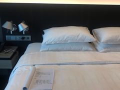 -曼谷铂尔曼皇权酒店