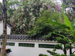 -深圳国际园林花卉博览园