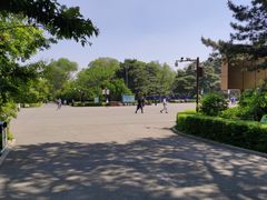 -长春市南湖公园