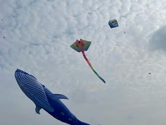 -上海滨江森林公园