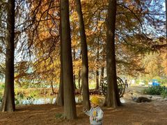 -Peet's Coffee皮爷咖啡(德基店)