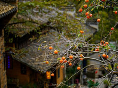 -篁岭景区